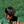 Bagas  Pratama's avatar